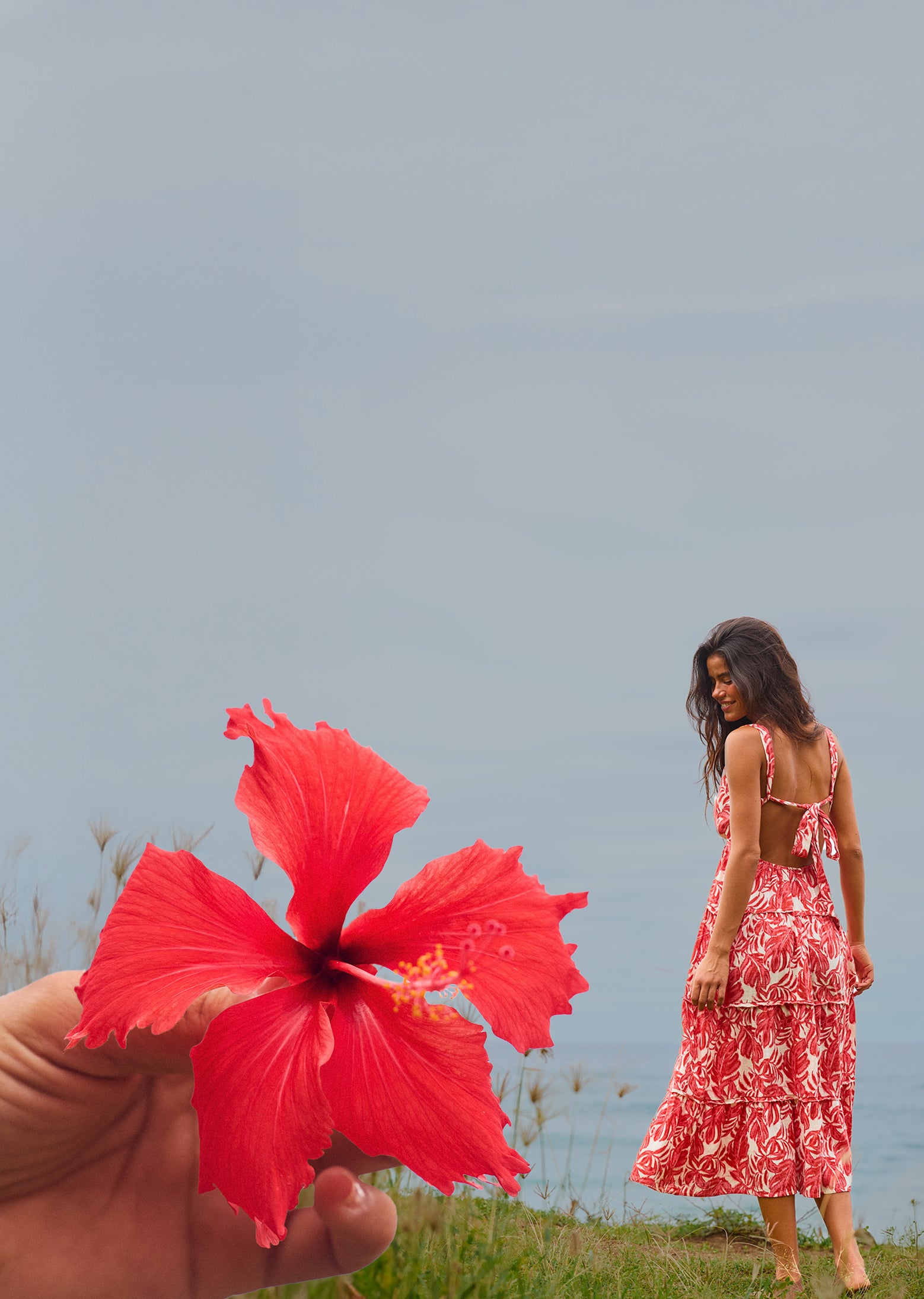 Person holding a red flower with a woman in a pink dress standing in a field.